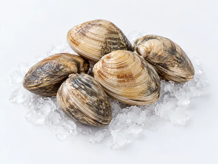 Illustrative clams product image