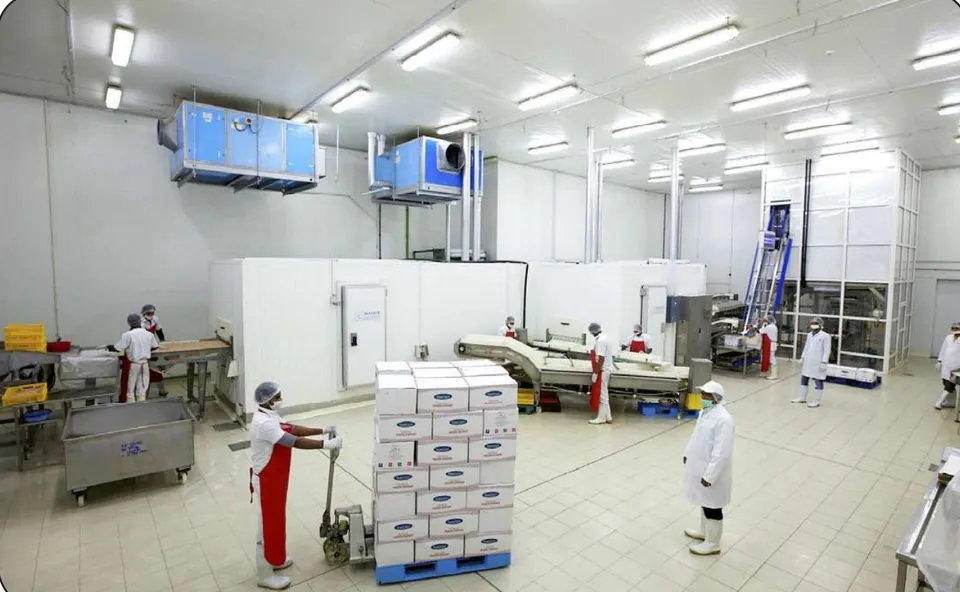 Automated shrimp processing area