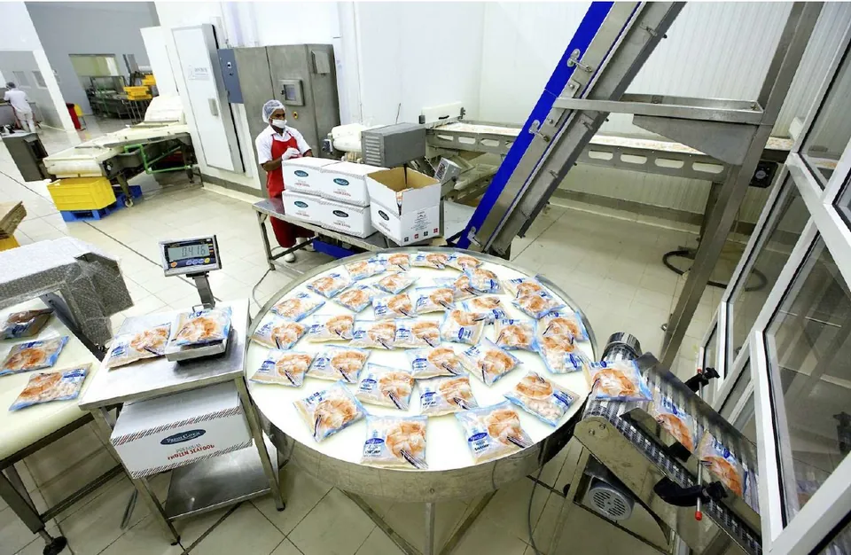 Automated IQF packing