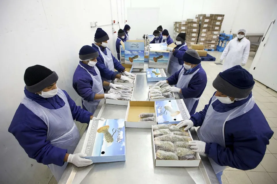 Lobster tail packing