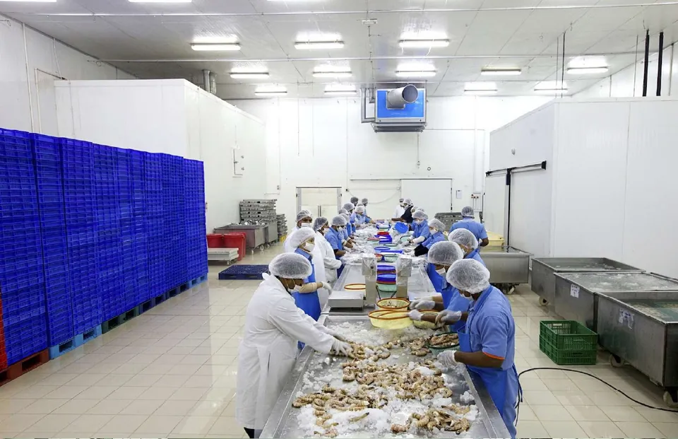 Shrimp processing hall