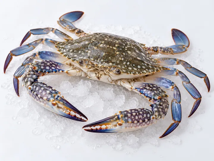 Illustrative crab product image