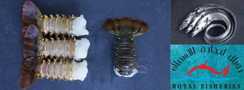 Lobster tails and fish beside Royal Fisheries branding