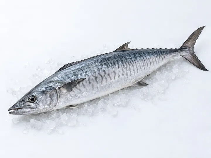 Illustrative kingfish product image