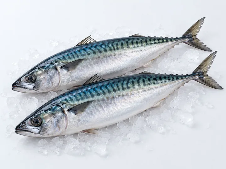 Illustrative mackerel product image