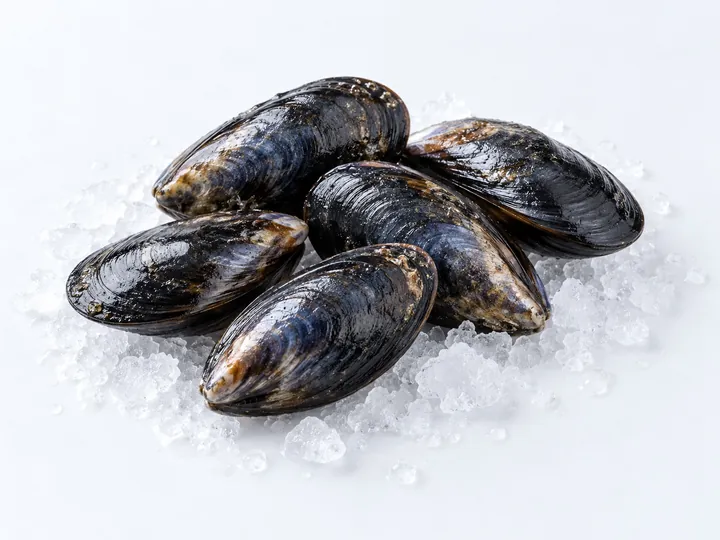 Illustrative mussels product image