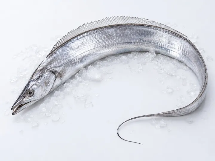 Illustrative ribbonfish product image
