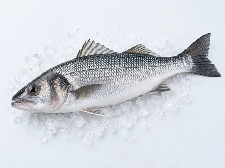 Illustrative sea bass product image