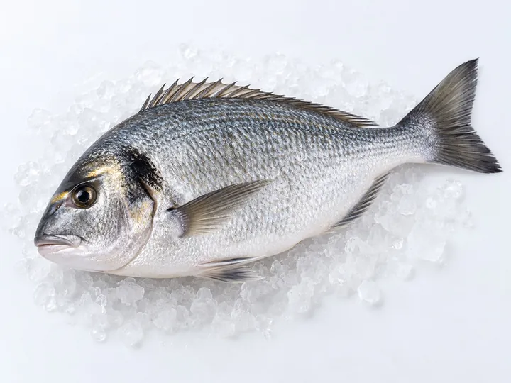 Illustrative sea bream product image