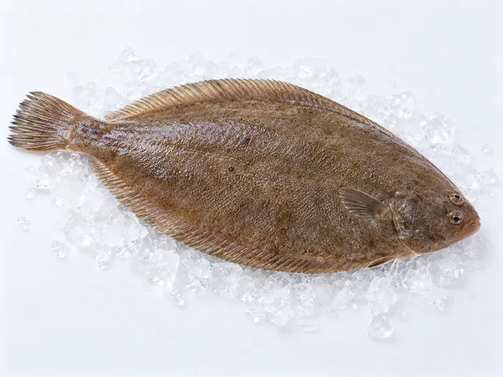 Illustrative sole product image